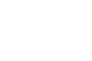 enzo