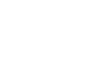 heller consult
