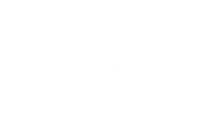 ptak