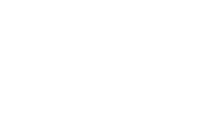 pzu